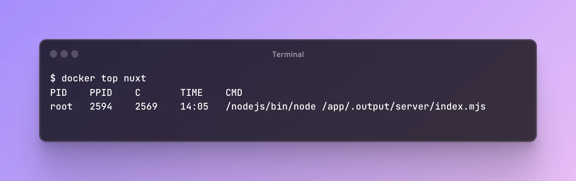 Processes listed by docker top